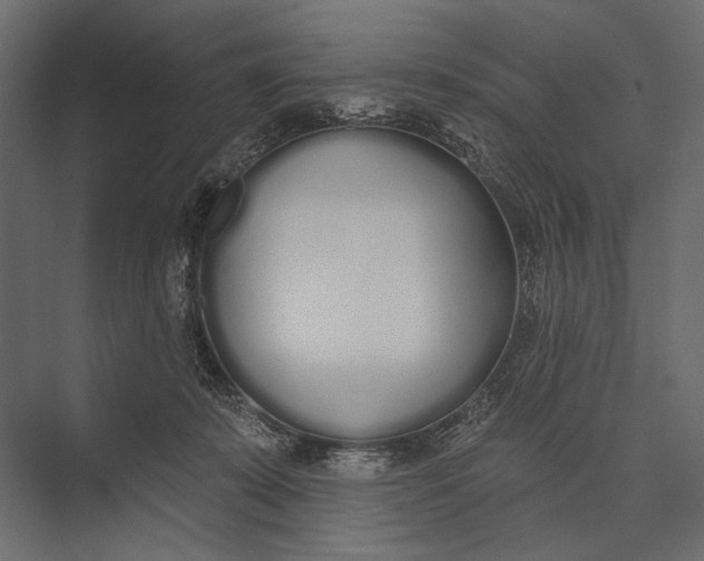 X0000073440319200608181219