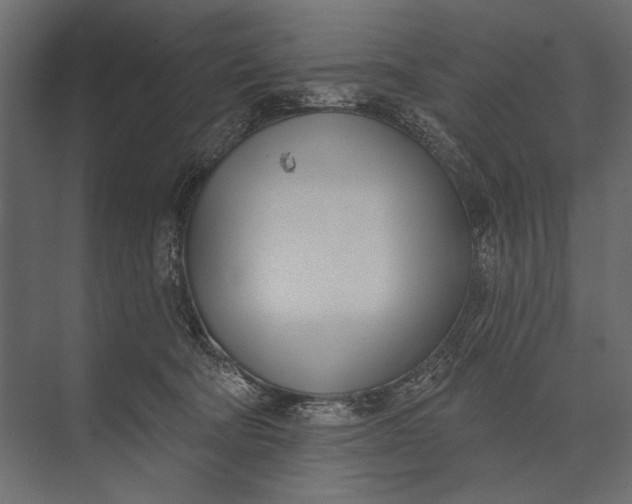 X0000073440322200608181219