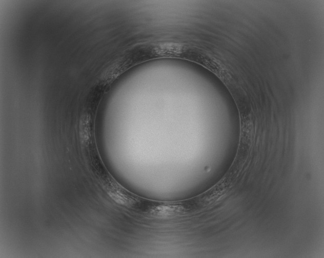 X0000073440323200608181219