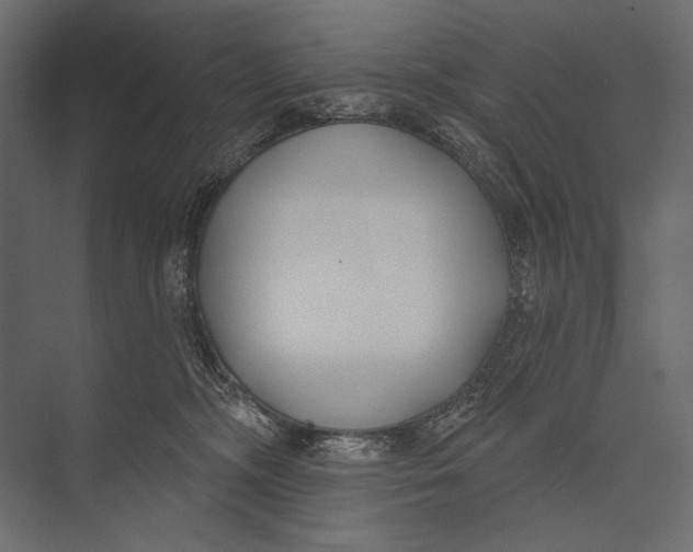 X0000073440326200608181219