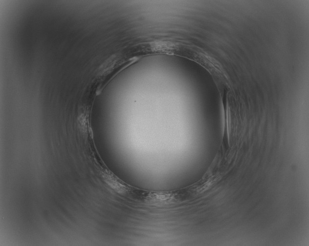 X0000073440329200608181219