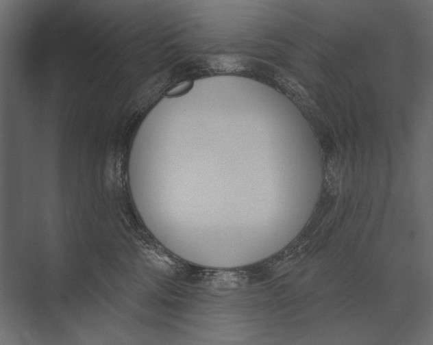 X0000073440330200608181219
