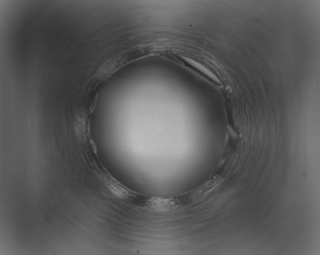X0000073440333200608181219
