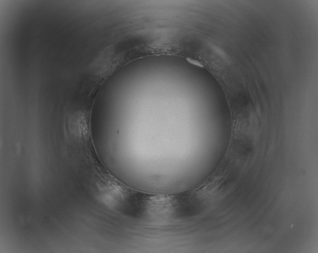 X0000073440335200608181219
