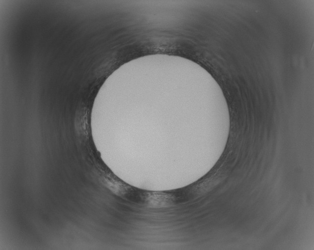 X0000073440336200608181219