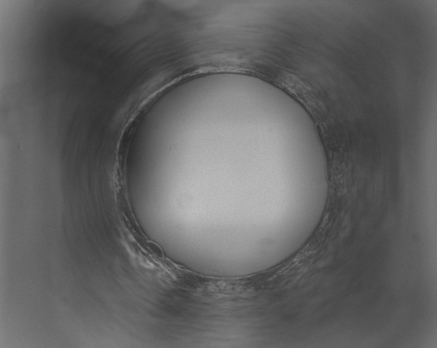 X0000073440338200608181218