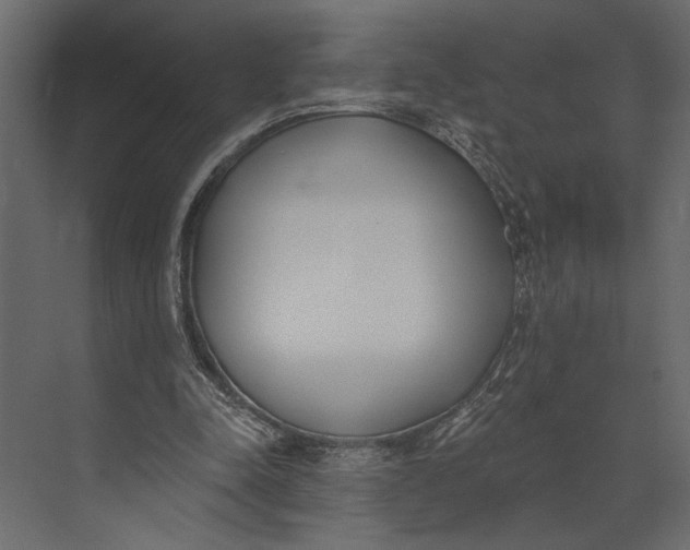 X0000073440342200608181218