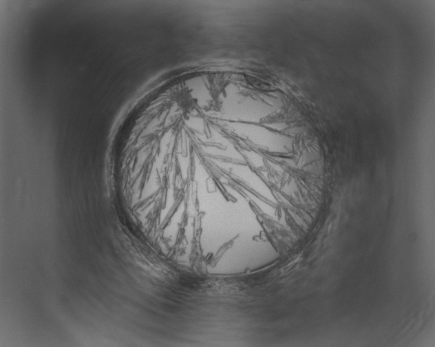X0000073440343200608181218