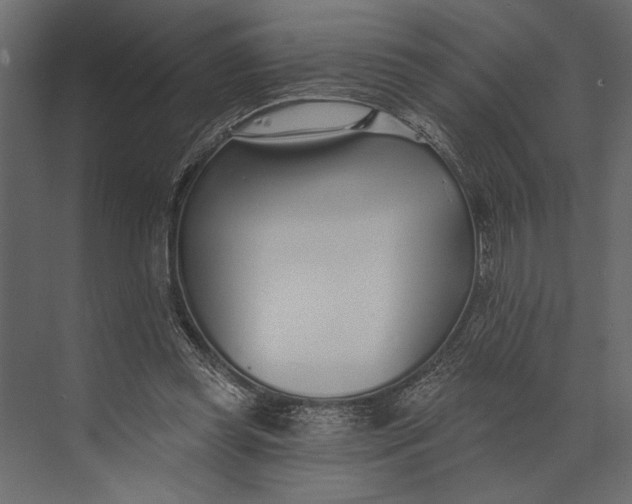 X0000073440349200608181218