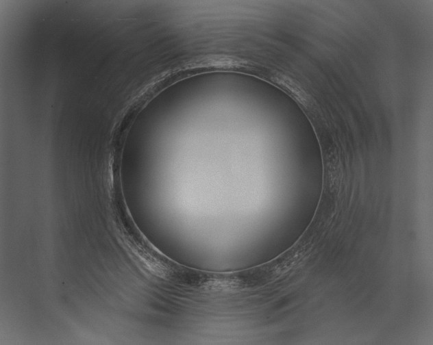 X0000073440350200608181218