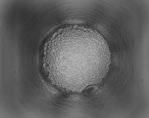 X0000073440351200608181218