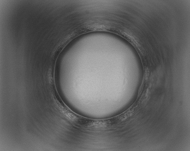 X0000073440353200608181219