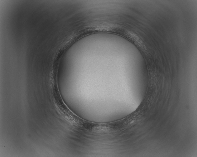 X0000073440354200608181219