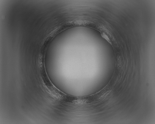X0000073440356200608181219