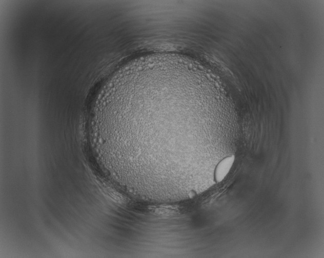X0000073440359200608181219