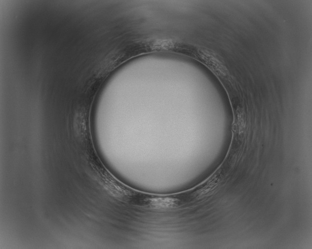 X0000073440363200608181219