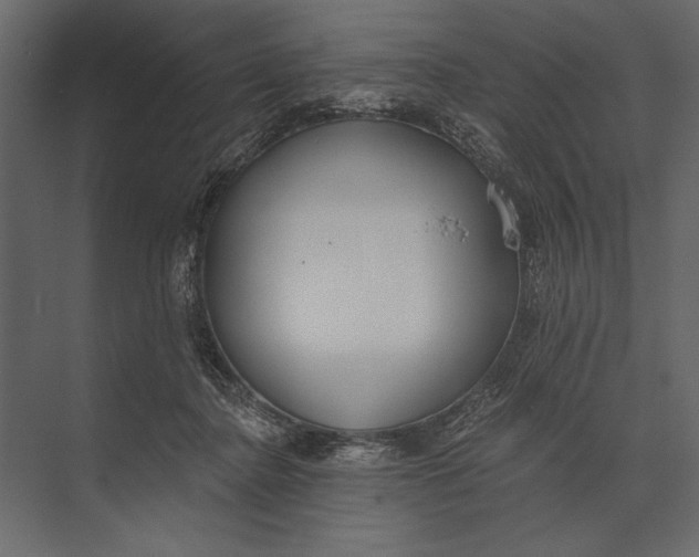 X0000073440364200608181219