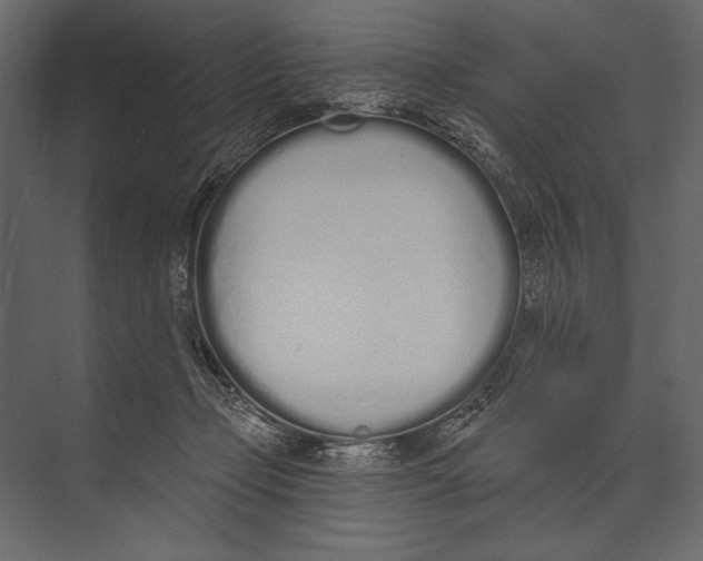 X0000073440365200608181219
