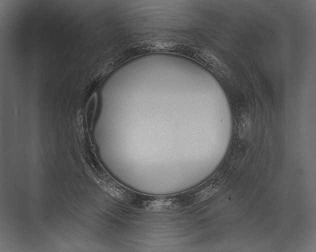 X0000073440366200608181219