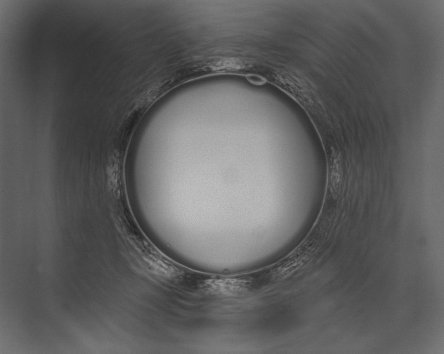 X0000073440367200608181219