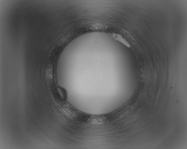 X0000073440368200608181219