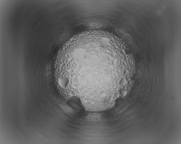 X0000073440369200608181219
