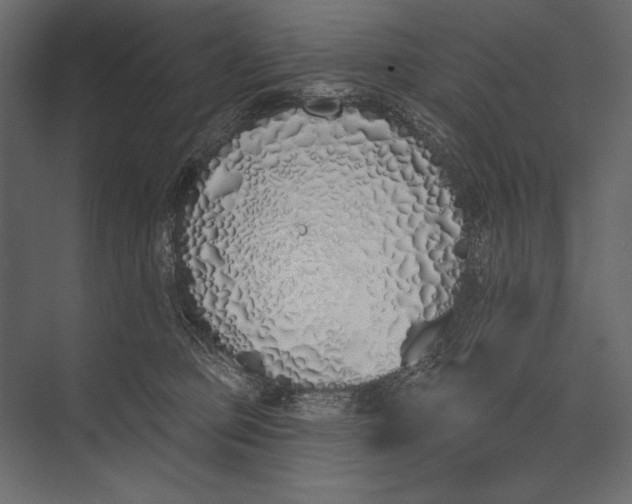 X0000073440373200608181219