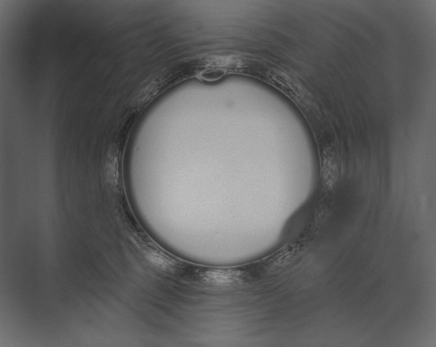 X0000073440375200608181219