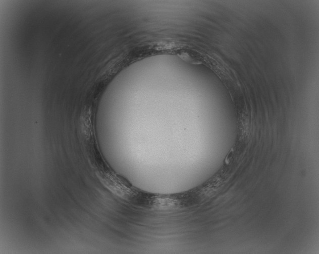 X0000073440376200608181219