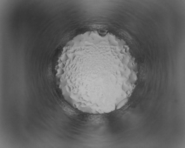 X0000073440377200608181219