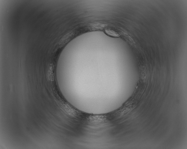 X0000073440378200608181219