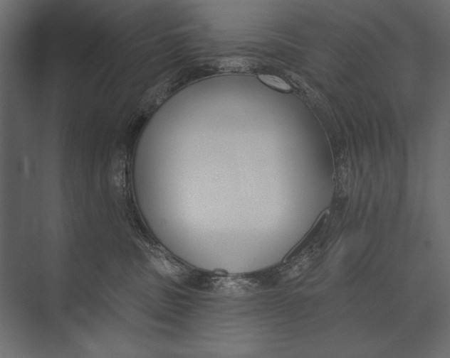 X0000073440379200608181219