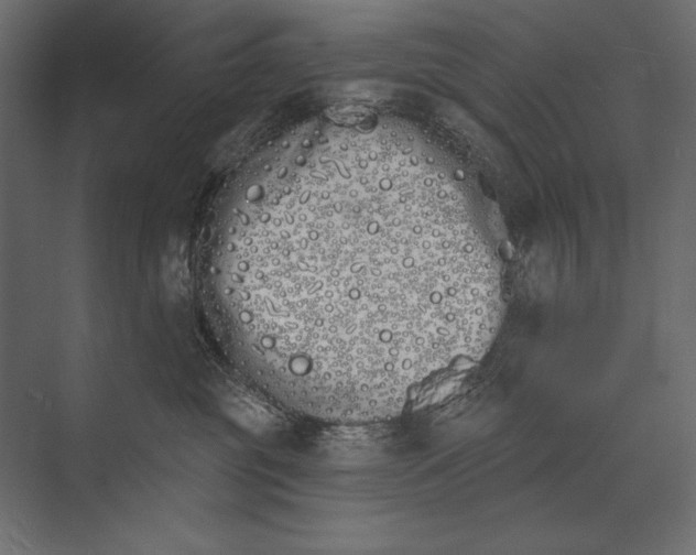 X0000073440381200608181219