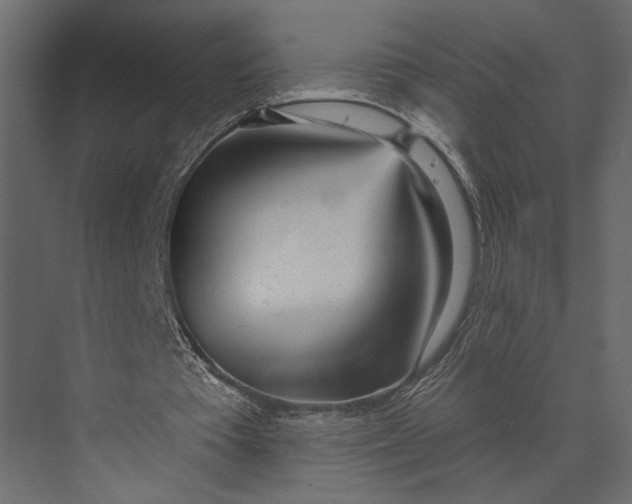 X0000073440385200608181218