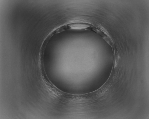 X0000073440387200608181218