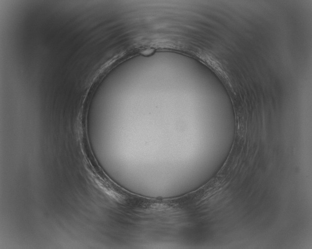 X0000073440390200608181218