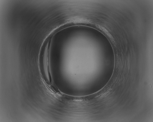 X0000073440391200608181218