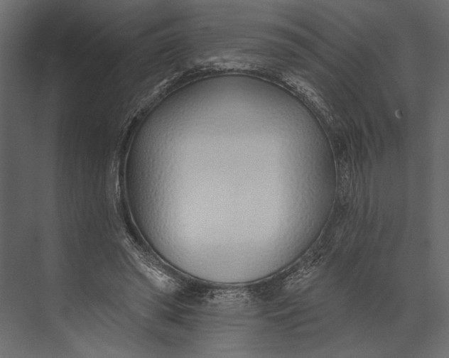 X0000073440398200608181218