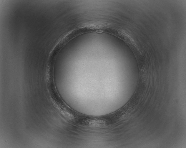 X0000073440400200608181218