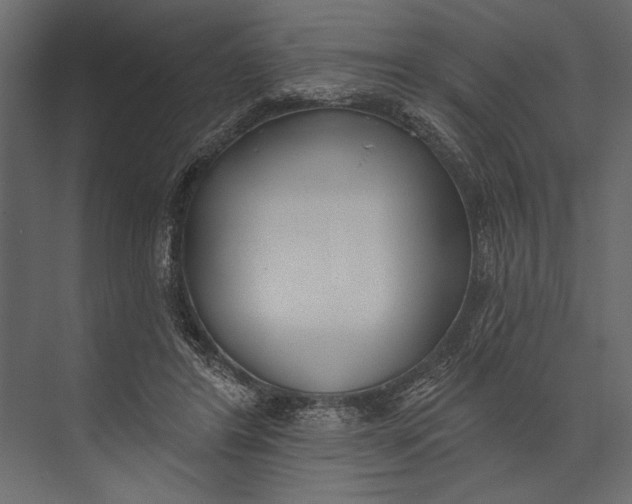 X0000073440404200608181218