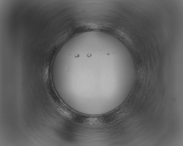 X0000073440406200608181218