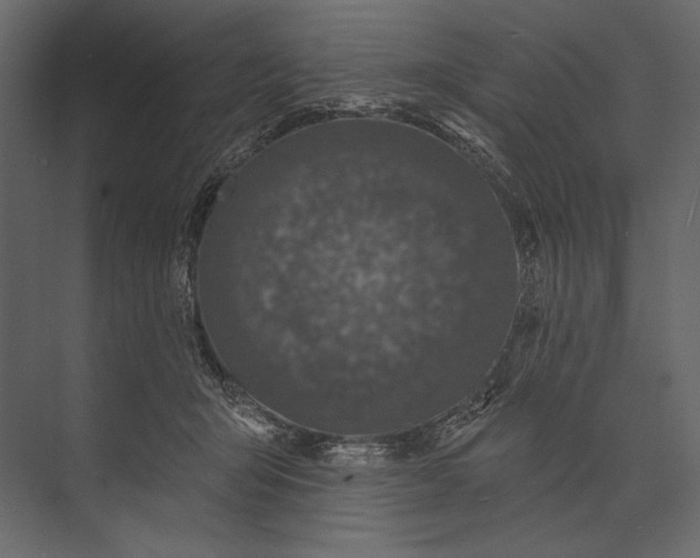 X0000073440415200608181218