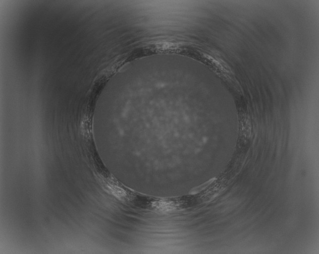 X0000073440419200608181218
