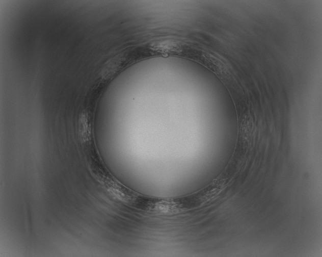 X0000073440420200608181218
