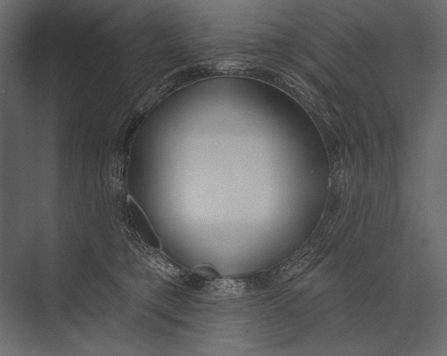 X0000073440421200608181218