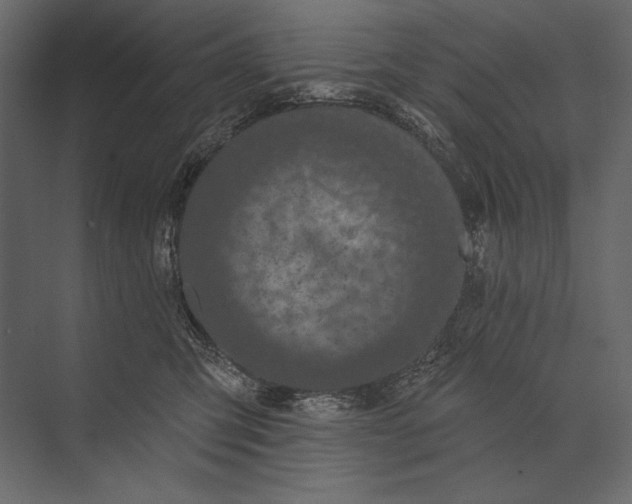 X0000073440423200608181218