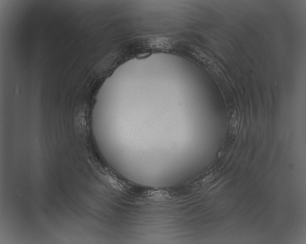 X0000073440424200608181218