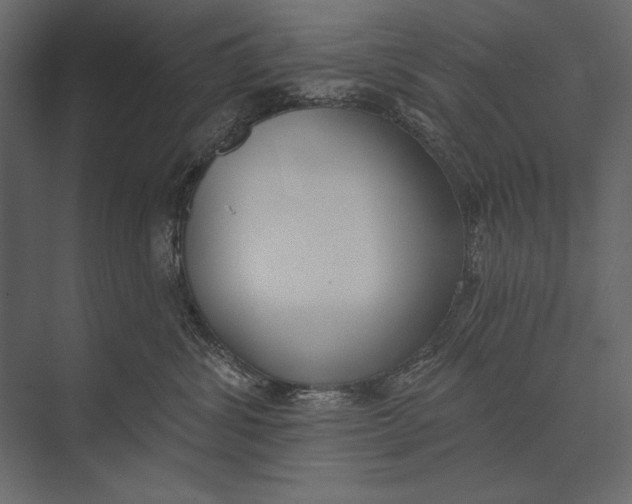 X0000073440428200608181217