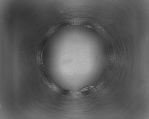 X0000073440429200608181217