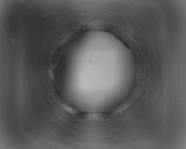 X0000073440432200608181217